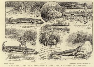 Uma curiosa história de um crocodilo, uma folha de um livro de anotações do viajante